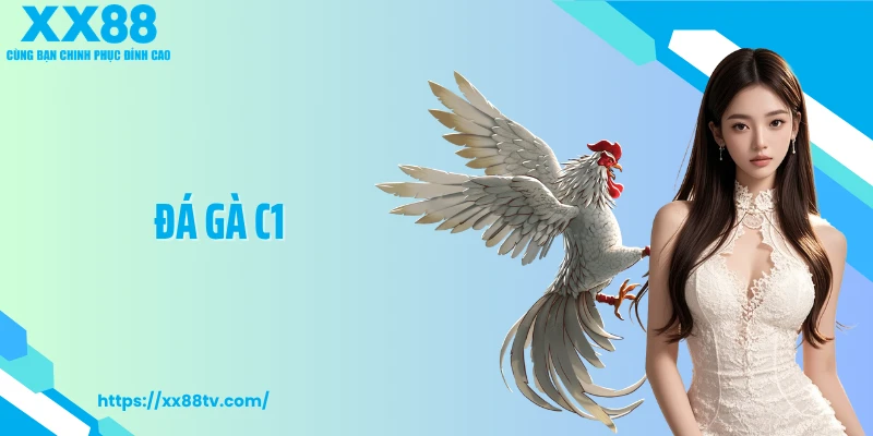 Đá Gà C1 - Sân Chơi Khốc Liệt Nơi Chiến Kê Tranh Ngôi