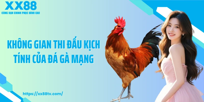 Không gian thi đấu kịch tính của đá gà mạng
